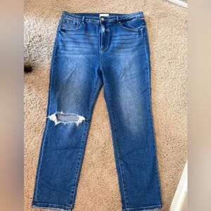 Risen Women's Skinny Distressed Jeans